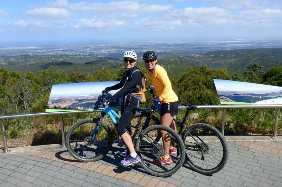 Mount Lofty Downhill Bike Tour & Cleland Wildlife Park Visit - Cleland Wildlife Park: feeding kangaroos and the koala moment