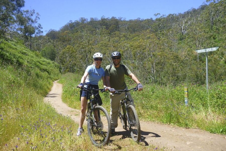 Mount Lofty Downhill Bike Tour & Cleland Wildlife Park Visit - Route feel: when you’ll get views and when you’ll be too busy to stare