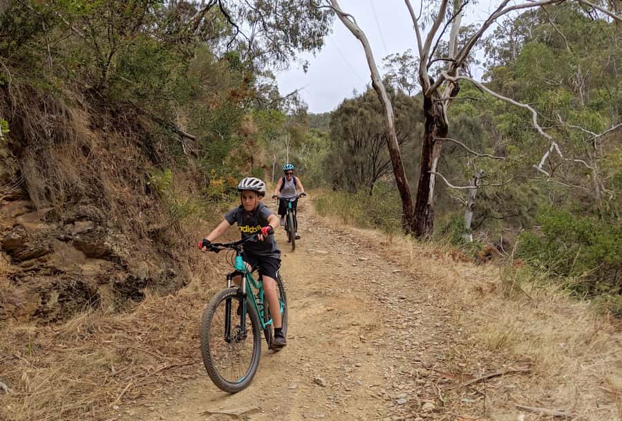 Mount Lofty Downhill Bike Tour & Cleland Wildlife Park Visit - Mount Lofty to Cleland Conservation Park: the ride that makes the whole day feel worth it