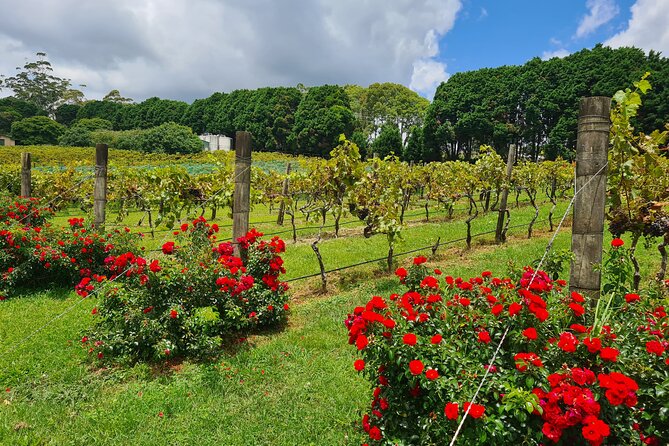 Mount Tamborine Wine Tasting Tour from Brisbane or the Gold Coast - Pickup, Minivan Comfort, and Why the Group Size Matters
