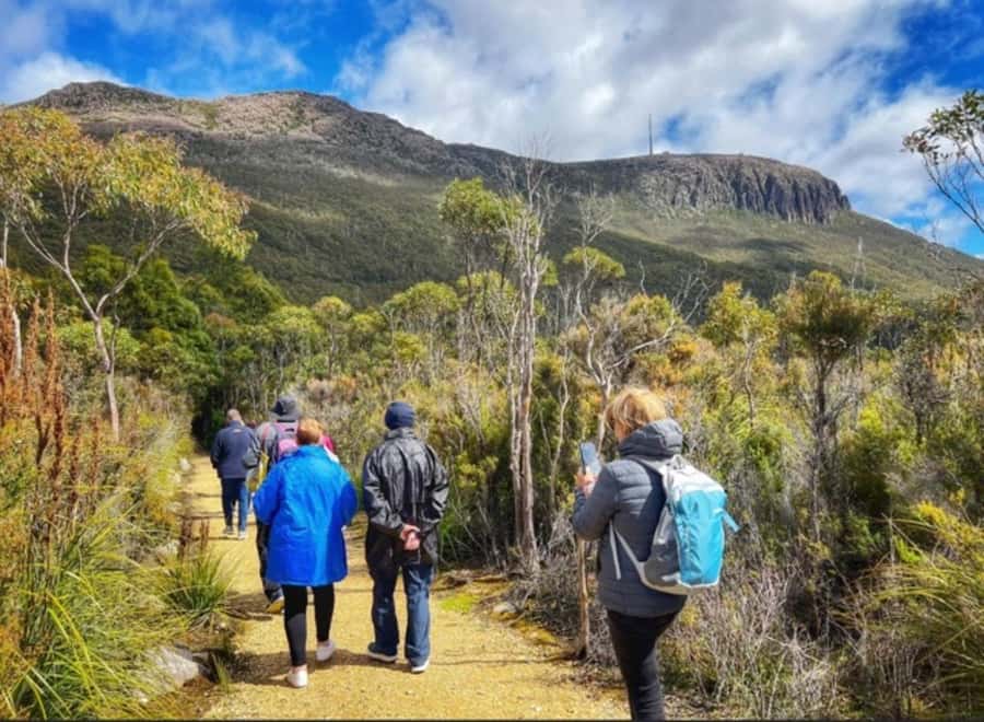Mt Wellington Ultimate Afternoon Tour - Kunanyi summit time and the Observatory deck views