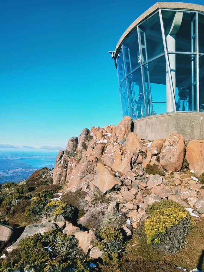 Mt Wellington Ultimate Afternoon Tour - Price and value: why $42 can make sense