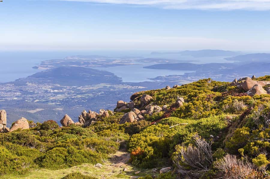 Mt Wellington: Ultimate Experience from Hobart - The Exhibition Garden Circuit walk: alpine air without the big commitment