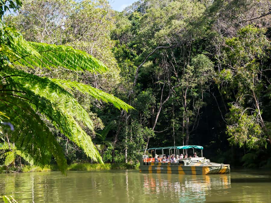 N. Queensland: Kuranda Rainforest Full-Day Tour - Three rides, one rainforest: how this tour actually hangs together