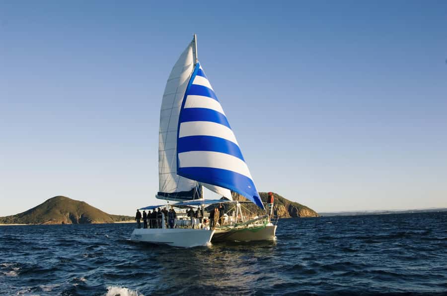 Nelson Bay: Dolphin Watch Cruise and Sail - Getting to d’Albora Marina without wasting your best daylight