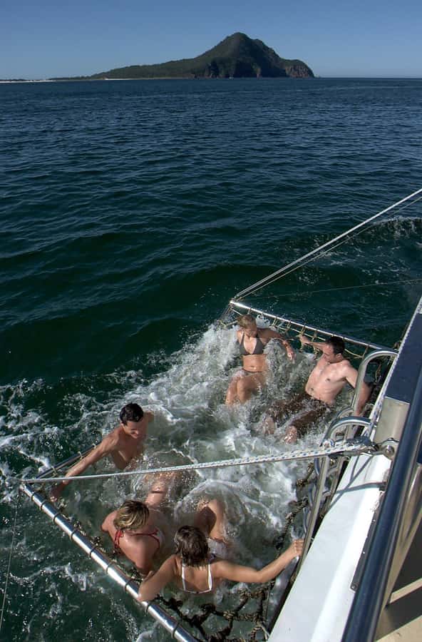 Nelson Bay: Dolphin Watch Cruise and Sail - What to bring: the small items that prevent big annoyances
