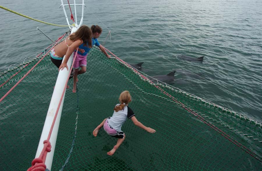 Nelson Bay: Dolphin Watch Cruise and Sail - Imagine Cruises catamaran comfort: deck views plus bow-net and boom-net