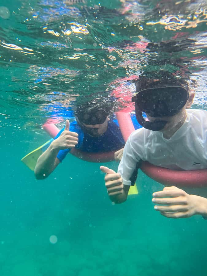 Nelson Bay: Marine Discovery Cruise with Snorkeling - Key takeaways before you go