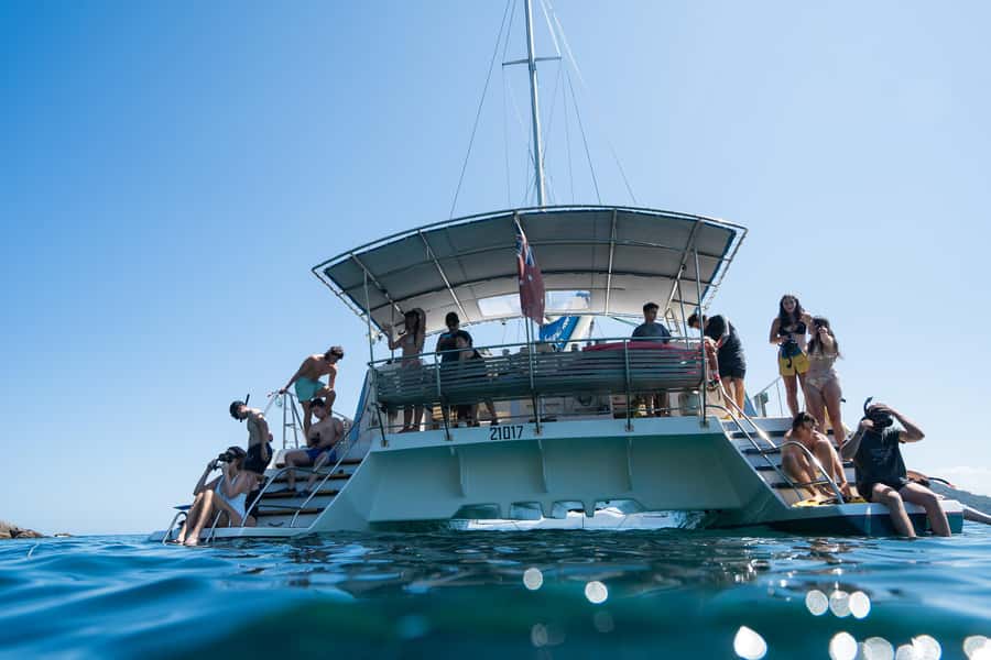 Nelson Bay: Marine Discovery Cruise with Snorkeling - Nelson Bay to Port Stephens: why this cruise is a good use of your afternoon
