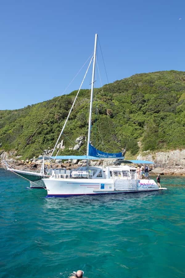 Nelson Bay: Marine Discovery Cruise with Snorkeling - Meet the Imagine catamaran at d’Albora Marina, dock C