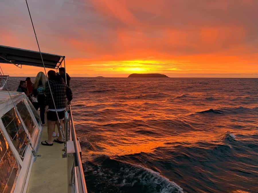 Nelson Bay: Whale and Dolphin Watching Catamaran Cruise - Food and Drinks: Included Tea and Coffee, Plus the Licensed Bar
