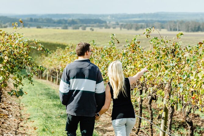 Newcastle: Boutique Hunter Valley Wine Tour - Why a Newcastle to Hunter Valley day trip makes sense