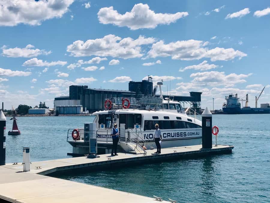 Newcastle: Humpback Whale Watching Cruise and Harbor Tour - Where to Meet and What to Watch for on Departure
