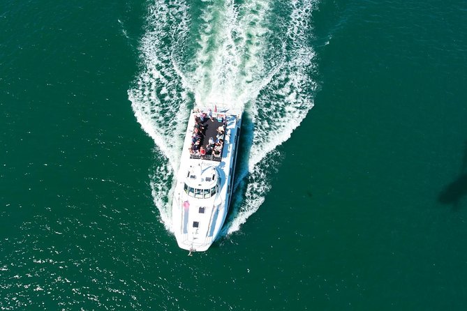 Newcastle Whale Watching Cruise - Why This 2.5-3 Hour Whale Cruise Can Feel Like Real Time on the Water