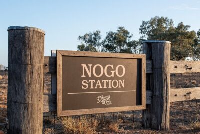 Nogo Station Experience