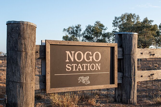 Nogo Station Experience - Merino shearing shed time: sheepdogs, wool, and why it matters