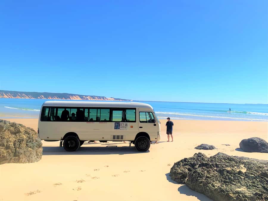 Noosa: Epic Learn to Surf Safari 4x4 - Double Island Point - Key highlights you will actually care about
