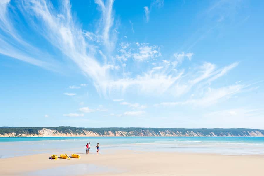 Noosa: Epic Ocean Kayak with Dolphins & 4WD Beach Adventure - Who this tour fits best in Noosa