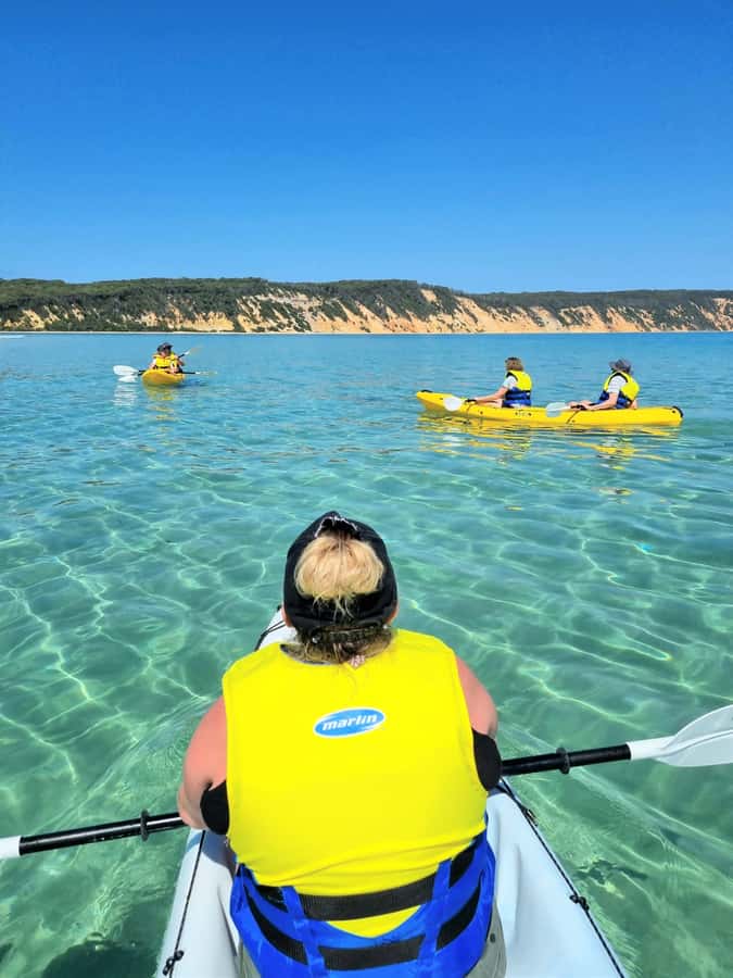 Noosa: Epic Ocean Kayak with Dolphins & 4WD Beach Adventure - Why this Noosa tour mixes dolphins kayaking with a 4WD beach run