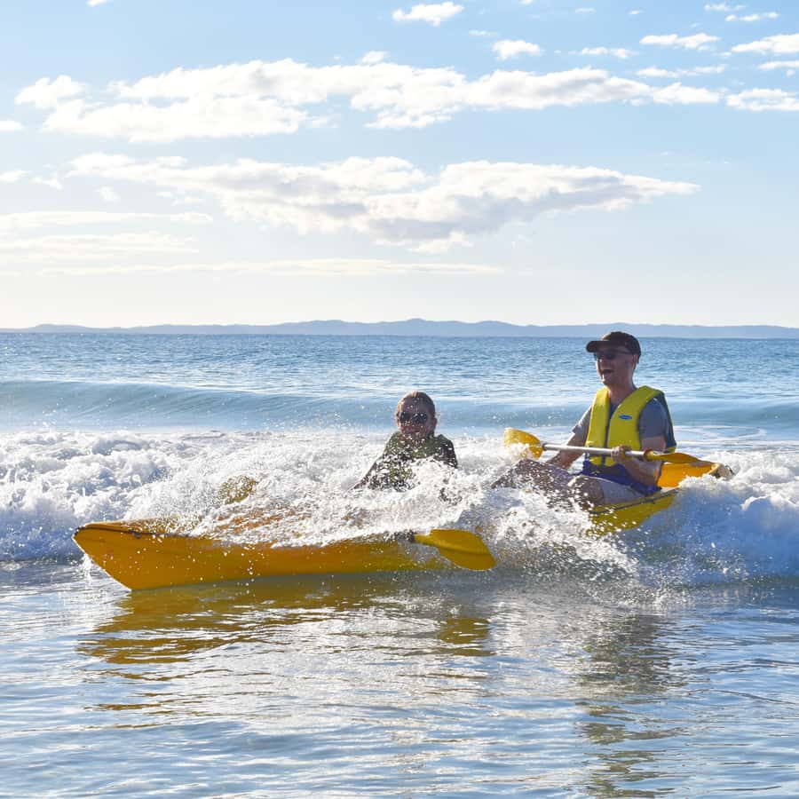 Noosa: Epic Ocean Kayak with Dolphins & 4WD Beach Adventure - Wildlife odds: dolphins, turtles, and whales in the right season