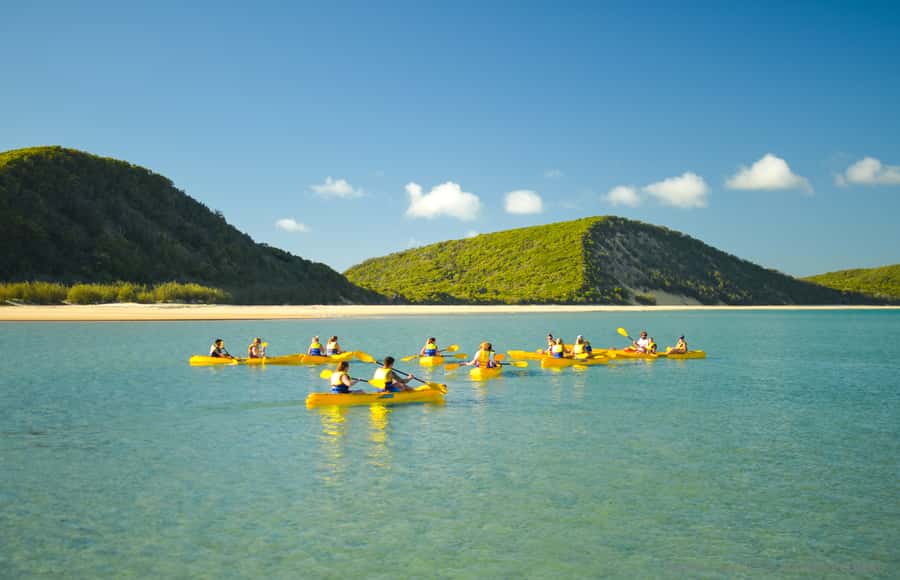 Noosa: Epic Ocean Kayak with Dolphins & 4WD Beach Adventure - What to bring so you enjoy the full 6 hours
