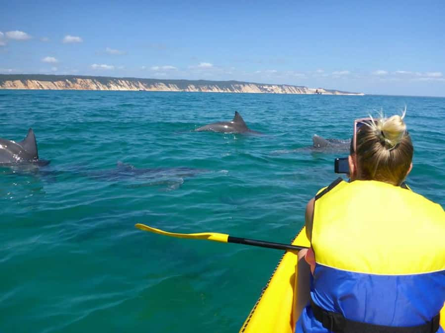 Noosa: Epic Ocean Kayak with Dolphins & 4WD Beach Adventure - Meeting at The J Theatre Noosa, then off toward Double Island Point