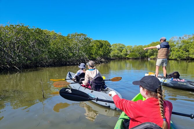 Noosa Everglade Kayak -South/Noosa End - Searching for Stingrays! - Quick hits for your Noosa stingray kayak