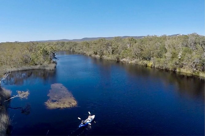 Noosa Everglade Kayak -South/Noosa End - Searching for Stingrays! - Price and value: is $56.66 worth it?