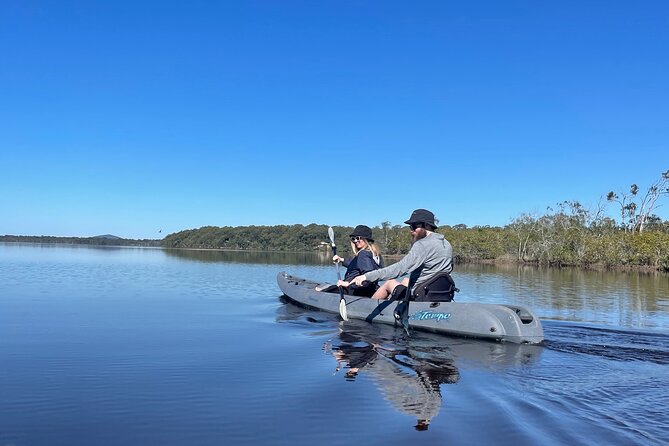 Noosa Everglade Kayak -South/Noosa End - Searching for Stingrays! - The guide is the whole point, especially for stingrays