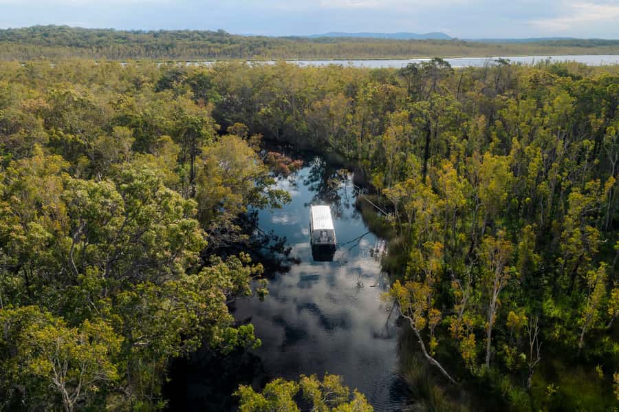 Noosa: Everglades Explorer Cruise - River Of Mirrors Explorer: Quick Take On What Matters