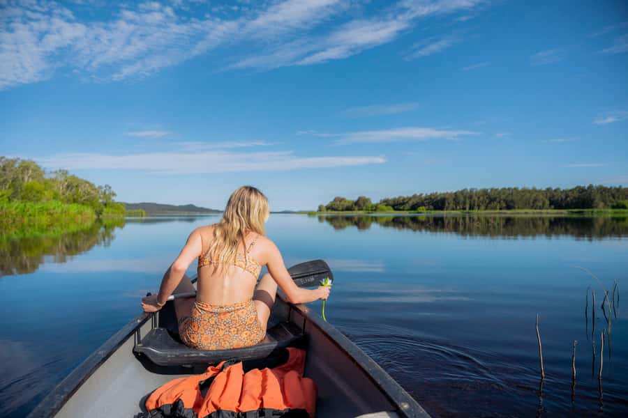 Noosa: Everglades Explorer Cruise - River Of Mirrors And Harry’s Hut: The Setting That Makes This Tour Worth It