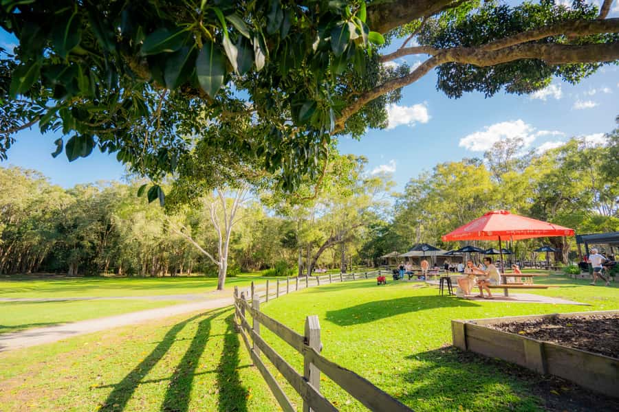Noosa: Everglades Explorer Cruise - Should You Book This Tour? My Decision Checklist