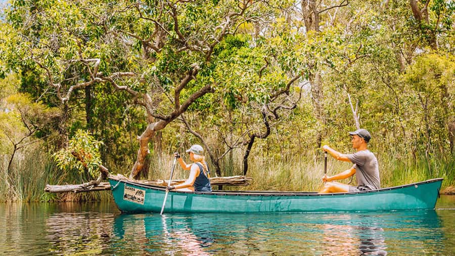 Noosa: Everglades Explorer Cruise - Getting There In Noosa: Shuttle Stops, Early Departures, And Real Timing