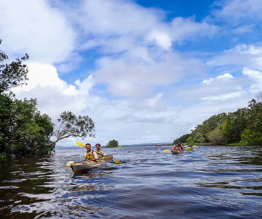 Noosa Everglades: Truly Sustainable Self Guided KAYAK Tour - Why the Noosa Everglades feels special from a kayak