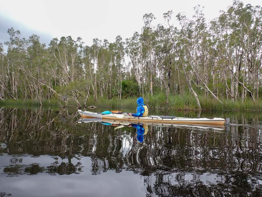 Noosa Everglades: Truly Sustainable Self Guided KAYAK Tour - Your route, explained: from launch to 6 hours of kayaking