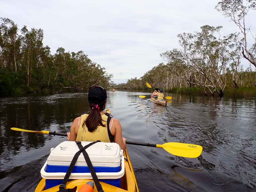 Noosa Everglades: Truly Sustainable Self Guided KAYAK Tour - Entering the canoe launch area around Boreen Point (do this part right)