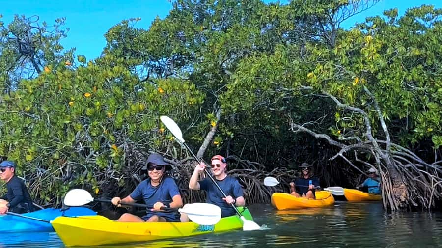 Noosa Heads: Hidden Waterways Wildlife Kayak (Self-Guided) - Weyba Creek Magic, Noosa Heads Style (Not Open-Water Kayaking)