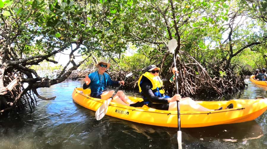 Noosa Heads: Hidden Waterways Wildlife Kayak (Self-Guided) - Your Calm Paddling Route Through Mangrove Tunnels