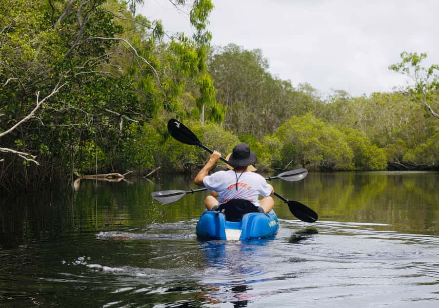 Noosa: Noosa Everglades and Stingray Sanctuary Kayak Tour - Key takeaways before you book