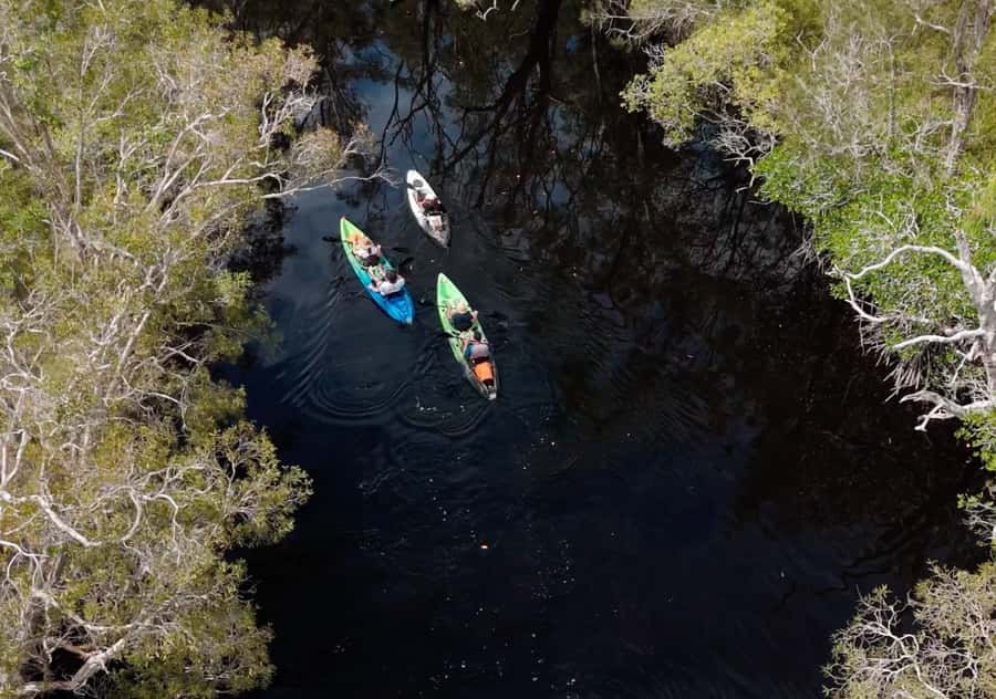 Noosa: Noosa Everglades and Stingray Sanctuary Kayak Tour - The 3 hour plan: how the morning unfolds on the water