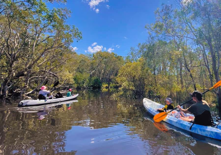 Noosa: Noosa Everglades and Stingray Sanctuary Kayak Tour - Your guide and the small group size that keeps it personal