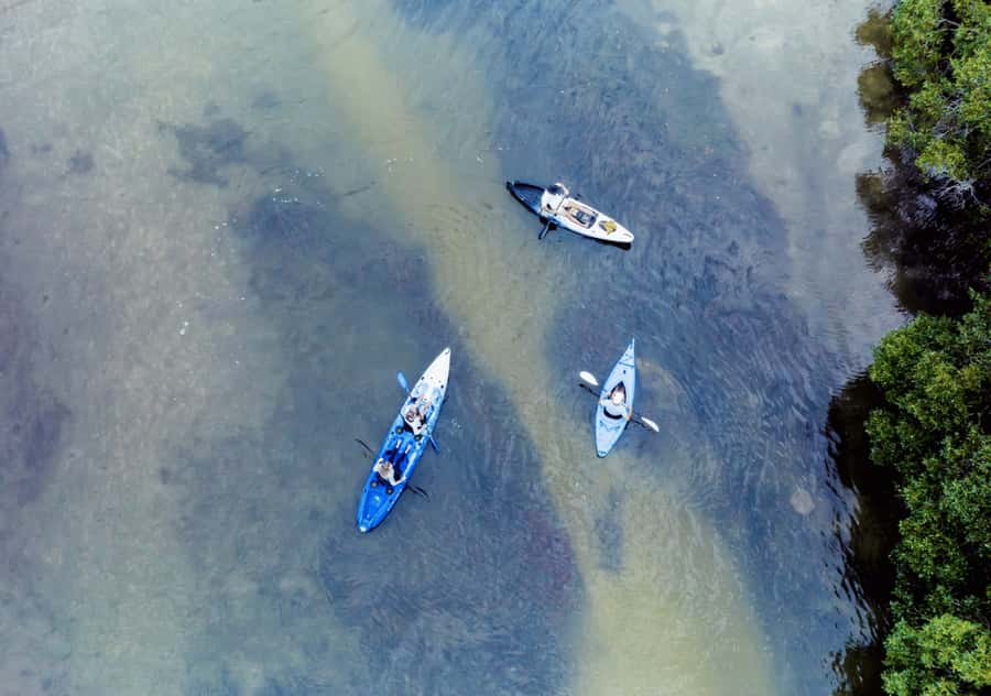 Noosa: Noosa Everglades and Stingray Sanctuary Kayak Tour - Stingray sanctuary rules, and what you can realistically expect