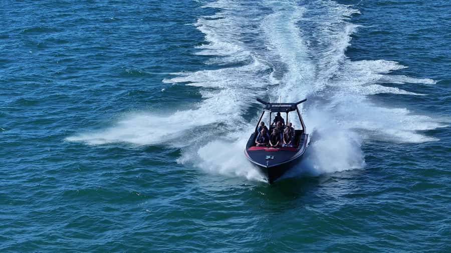 Noosa: Noosa Ocean Adventure with Dolphin Watching - Noosa National Park coastline: the guided run that makes the price feel fair