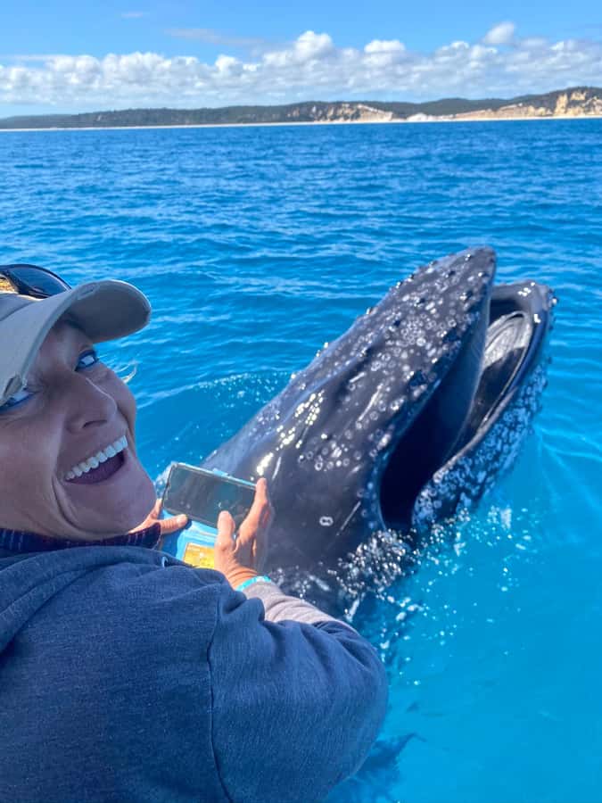 Noosa; Noosa Ocean Adventures - Whale Watching - Key things that make this Noosa whale cruise worth it