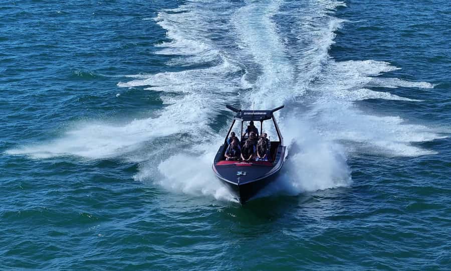 Noosa; Noosa Ocean Adventures - Whale Watching - Price and Value at $70 Per Person for Up-Close Action