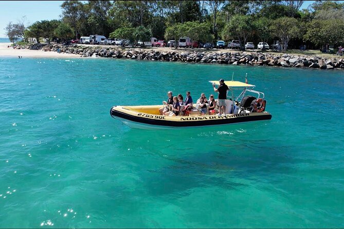 Noosa Ocean adventure & Dolphin Safari. - Key things that make this Noosa dolphin safari worth it