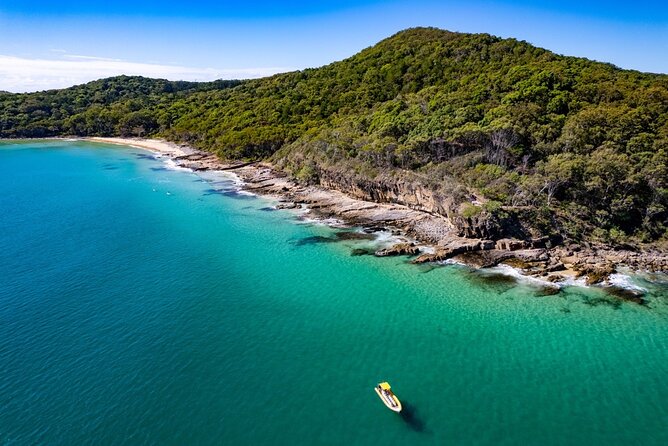 Noosa Ocean adventure & Dolphin Safari. - Ocean Rider out of Noosa Marina, and why the speed matters