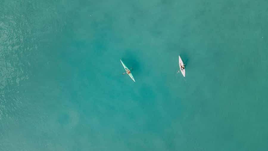 Noosa River: Mangroves and Mansions Guided Kayak Tour - Key things you will notice on this Noosa River kayak tour