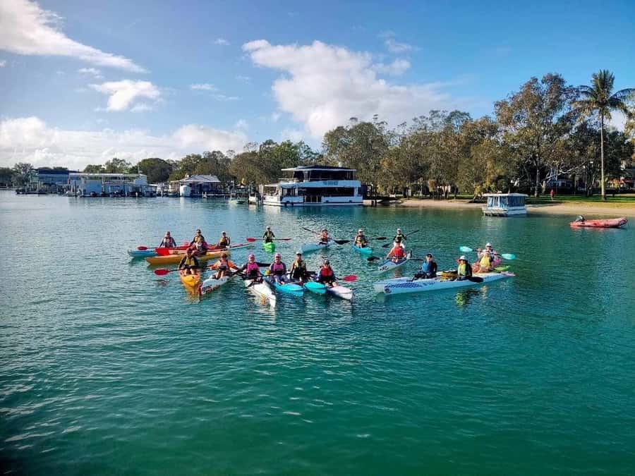 Noosa River: Mangroves and Mansions Guided Kayak Tour - Noosa Sound circuit and the mansion views from the water