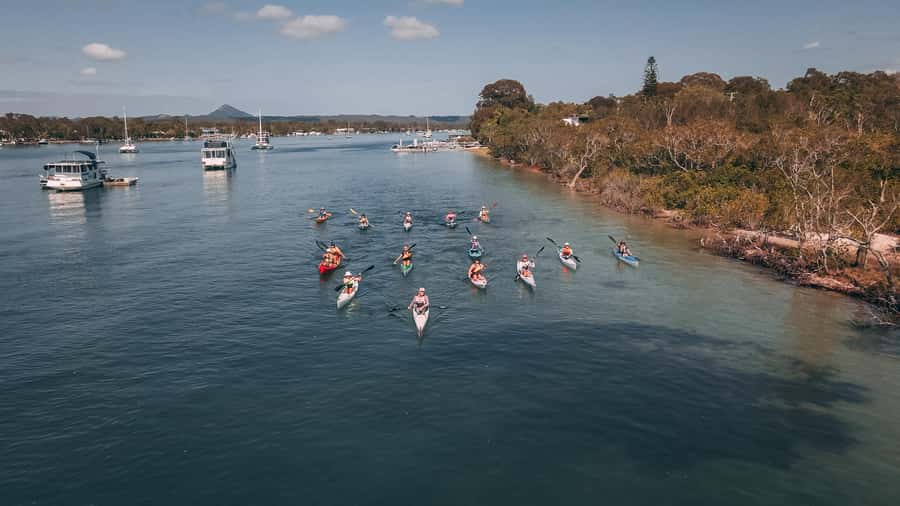 Noosa River: Mangroves and Mansions Guided Kayak Tour - How hard is it, really, and who will enjoy it most?